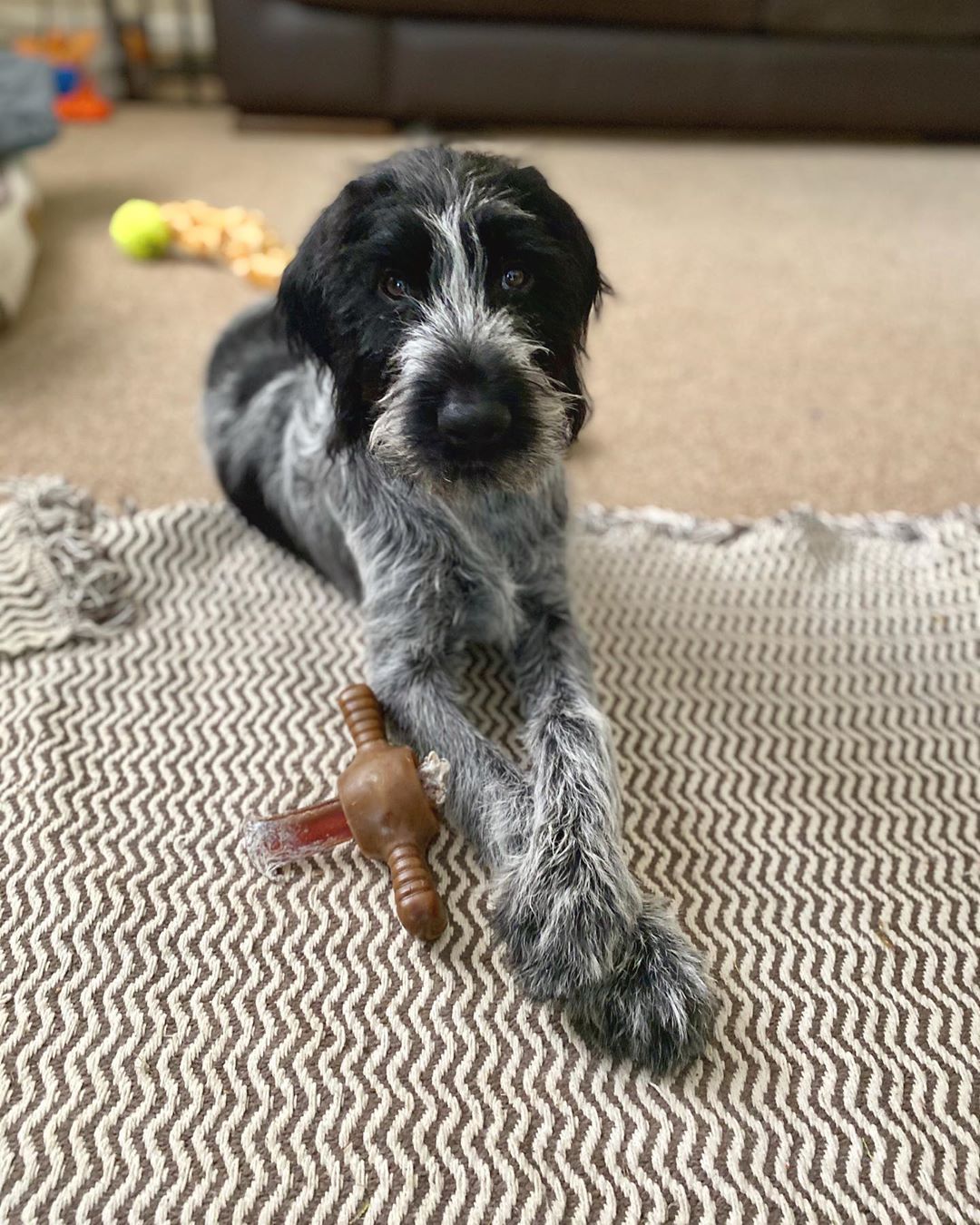 Mika